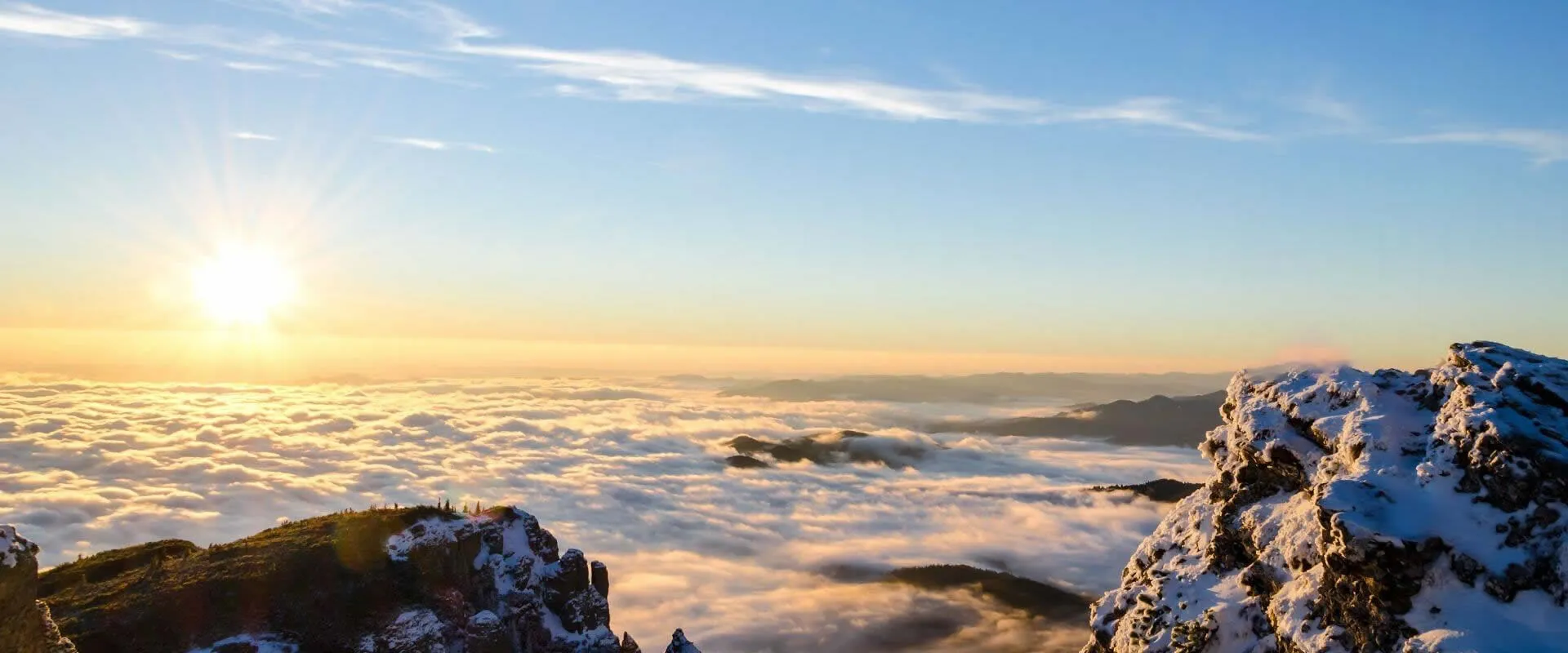 Nuestros productos son apreciados tanto en regiones nacionales como en el extranjero.